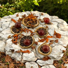 Load image into Gallery viewer, Carnelian Gemstone Sphere